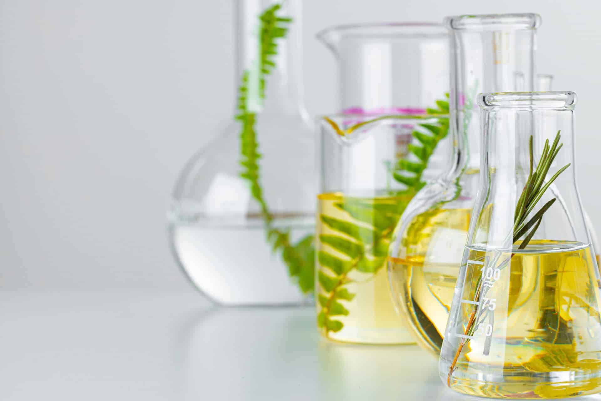 Botanical ingredients prepared in laboratory glassware
