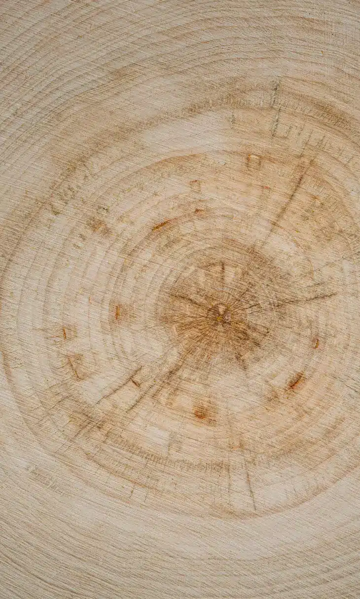 Detailed natural tree-ring texture