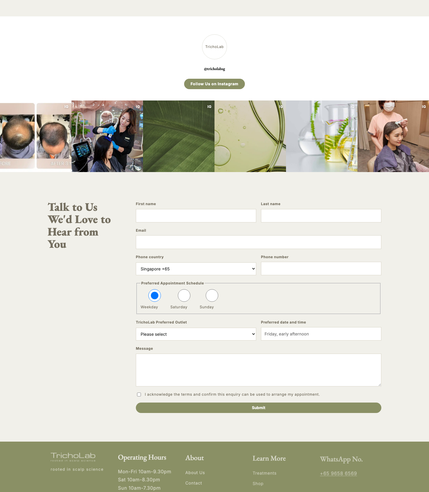 Current Shopify Instagram, booking form, and footer