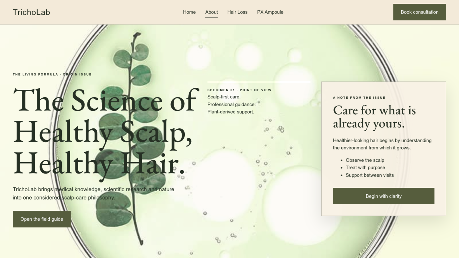 Codex botanical About page hero